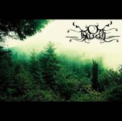 And the Dreams So Rich in Color...